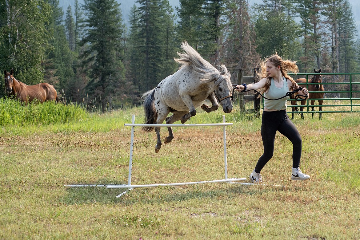 Jenna Pliley practices jumping with her mini horse Shorty Wednesday, July 24. (Avery Howe/Bigfork Eagle)