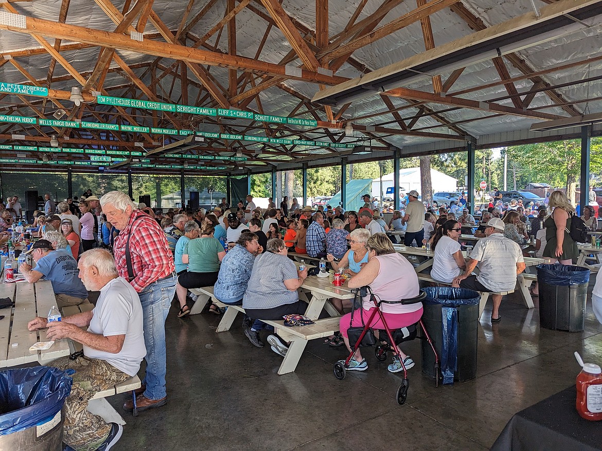 A photo from a past Post Falls Community Picnic.