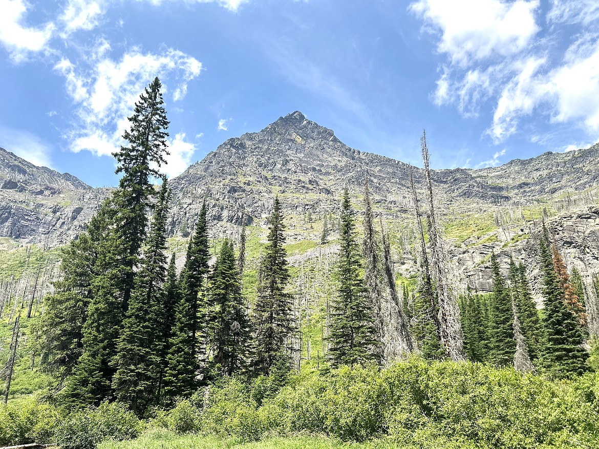 Trees and mountains line the trail to Snyder Lake.