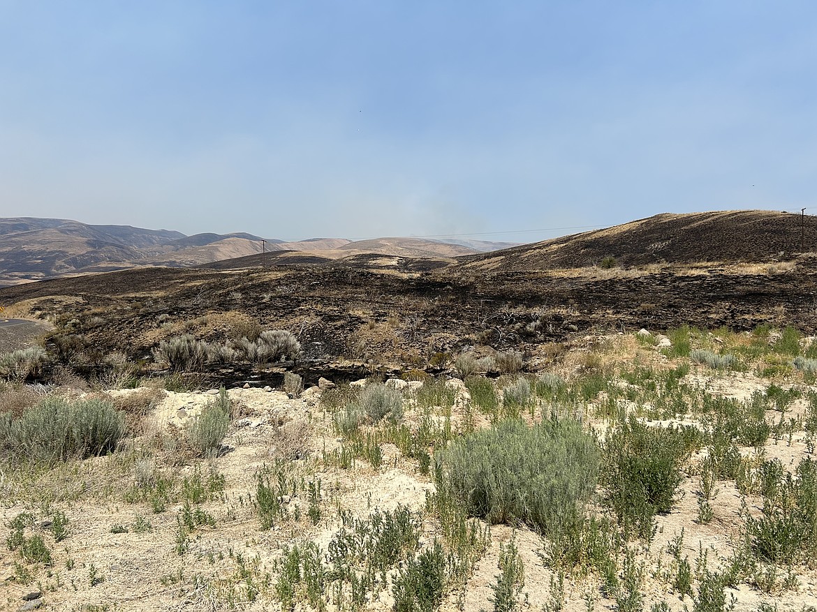 Damage from the Black Canyon Fire is shown in the photo above. The fire was declared out as of Thursday.