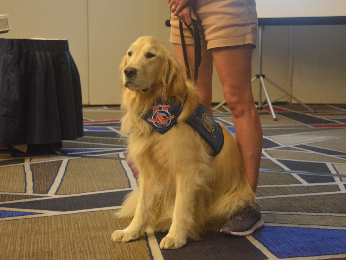 Isaac the comfort dog stands at the ready during a Rotary Club luncheon Friday. He's mainly stationed with the Redeemer Lutheran Church in Spokane Valley and has accompanied local veterans on past Honor Flights.