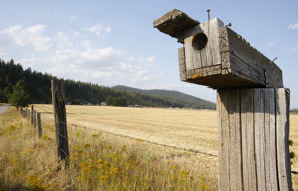 A birdhouse made of old wood sits atop a post along the drive into the Scarcello property in Rathdrum. Established in 1910, the family continues to work the farm as previous generations have done.