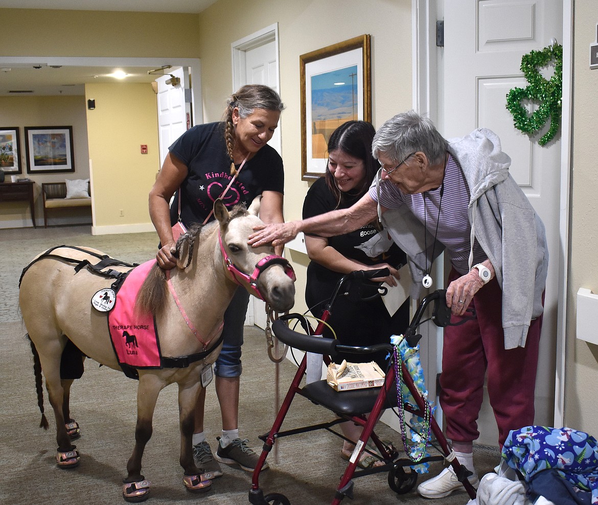 Brookdale Hearthstone resident Betty Bolyard, right, gets acquainted with Luna the miniature therapy horse, accompanied by Luna’s owner, Jodi Peck of Kindhearted Mini Therapy, left, and Brookdale Hearthstone Activity Director Aleecia Robledo.