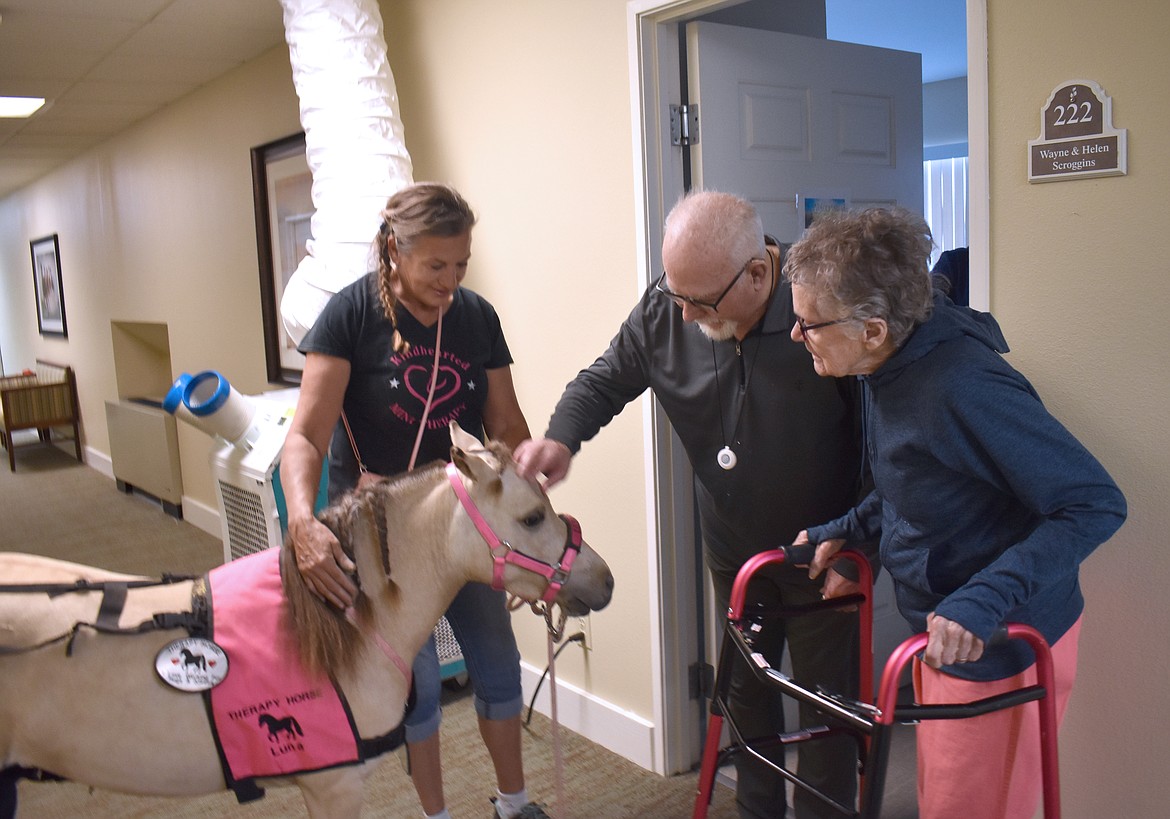 Wayne Scroggins knows where Luna the miniature horse likes to be scratched, while his wife Helen and Luna’s owner, Jodi Leck of Kindhearted Mini Therapy, look on.