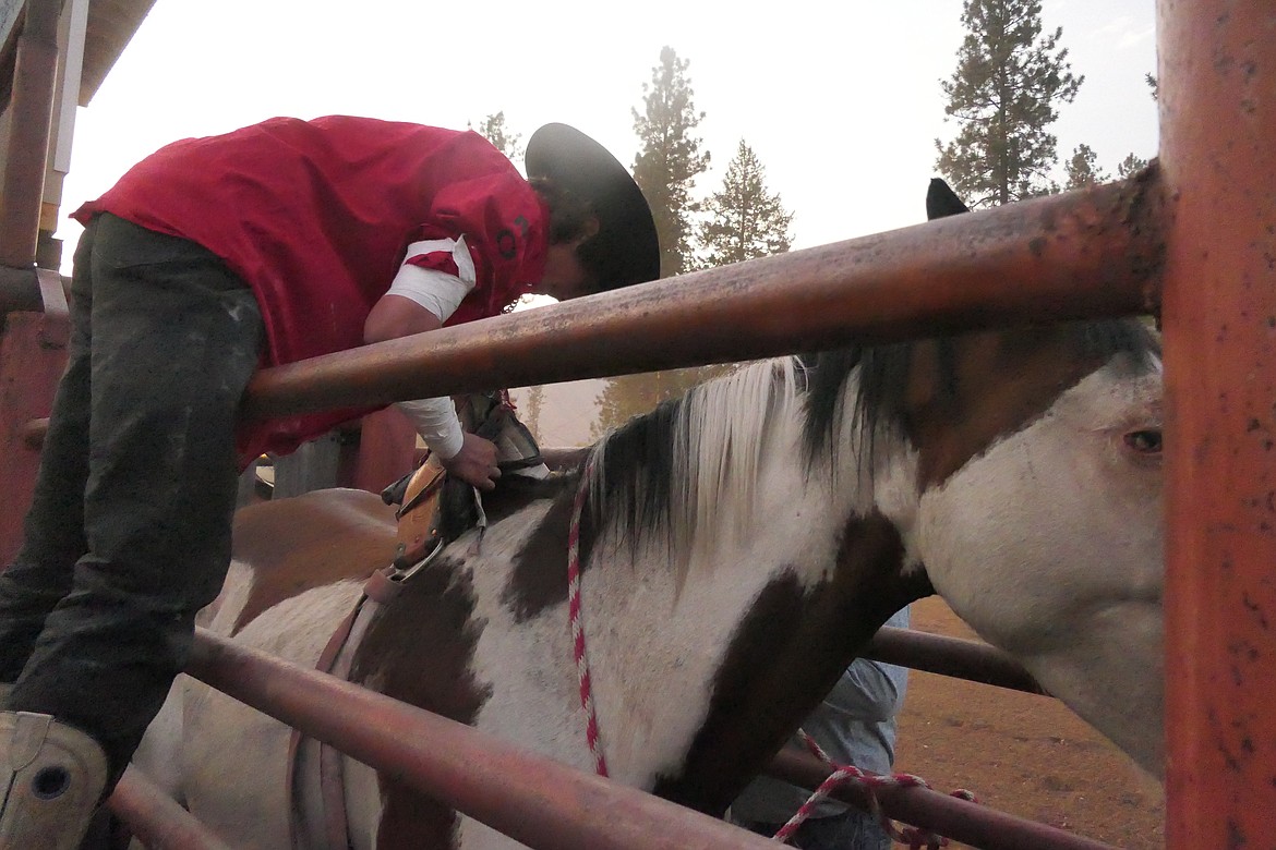 Rookie bareback bronc rider Hayden Reed of Hall, MT, gets ready to ride during this past weekend's Superior Rodeo.  (Chuck Bandel/MI-VP)