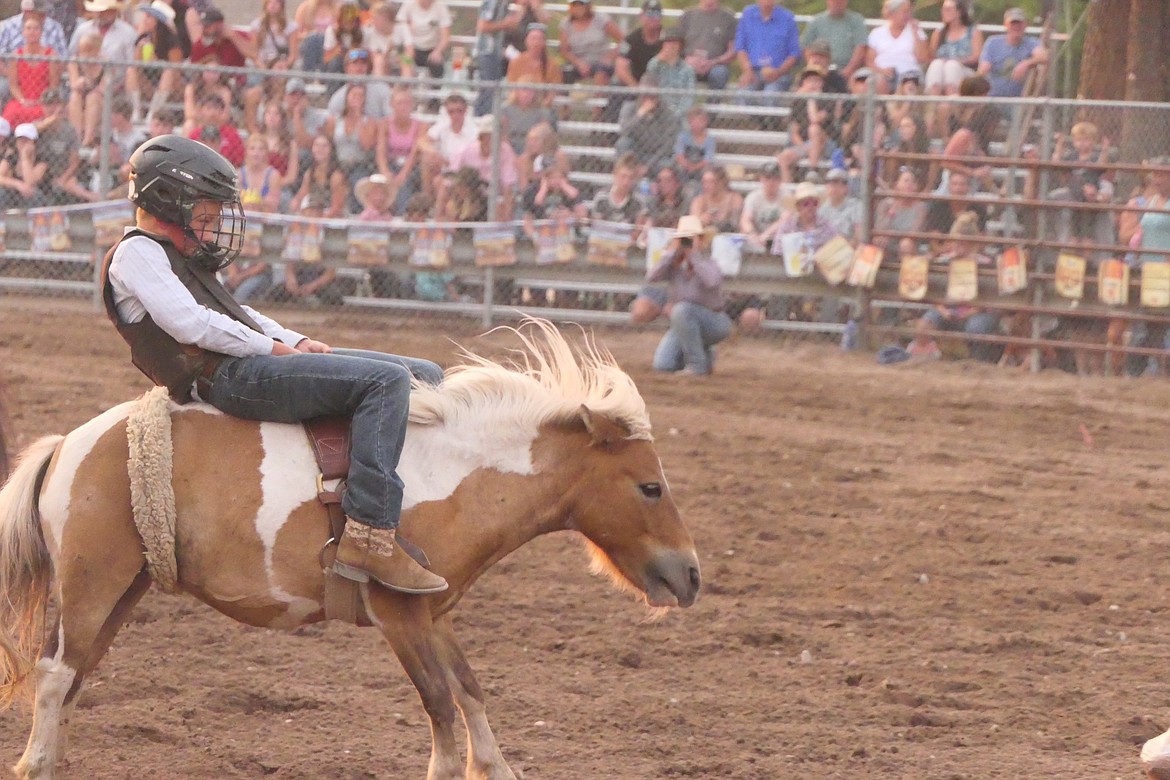 A young rider holds on during a junior bareback riding event at this year's Superior Lions Club Rodeo.  (Chuck Bandel/MI-VP)