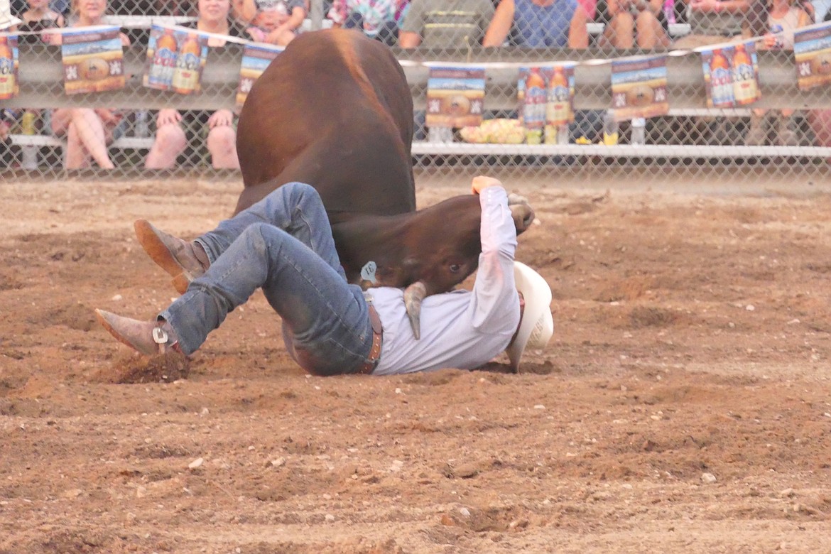 A cowboy gets the steer by the horns during steer wrestling competition at the Lions Club rodeo in Superior this past weekend.  (Chuck Bandel/VP-MI)