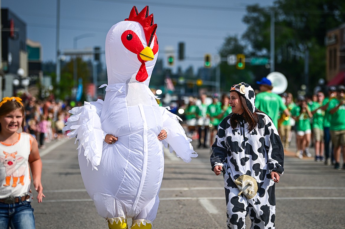 Two people in the procession wear chicken and cow suits during the Northwest Montana Fair Parade in Kalispell on Friday, Aug. 9. (Casey Kreider/Daily Inter Lake)