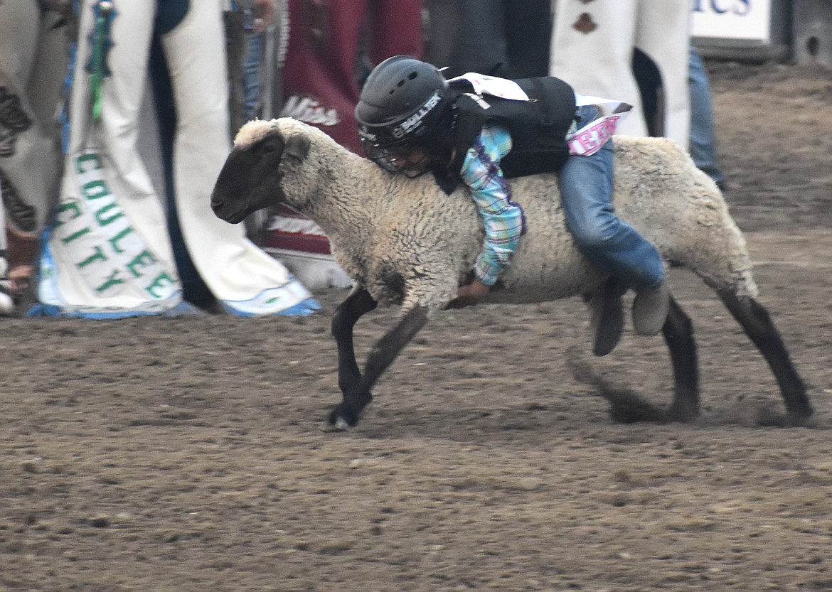 Every night of the Moses Lake Roundup opens with mutton bustin’, where the aspiring cowboys and cowgirls ride on top of sheep inside the Rodeo Arena.