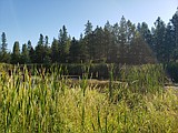 OUR GEM: Ecosystem services that wetlands provide