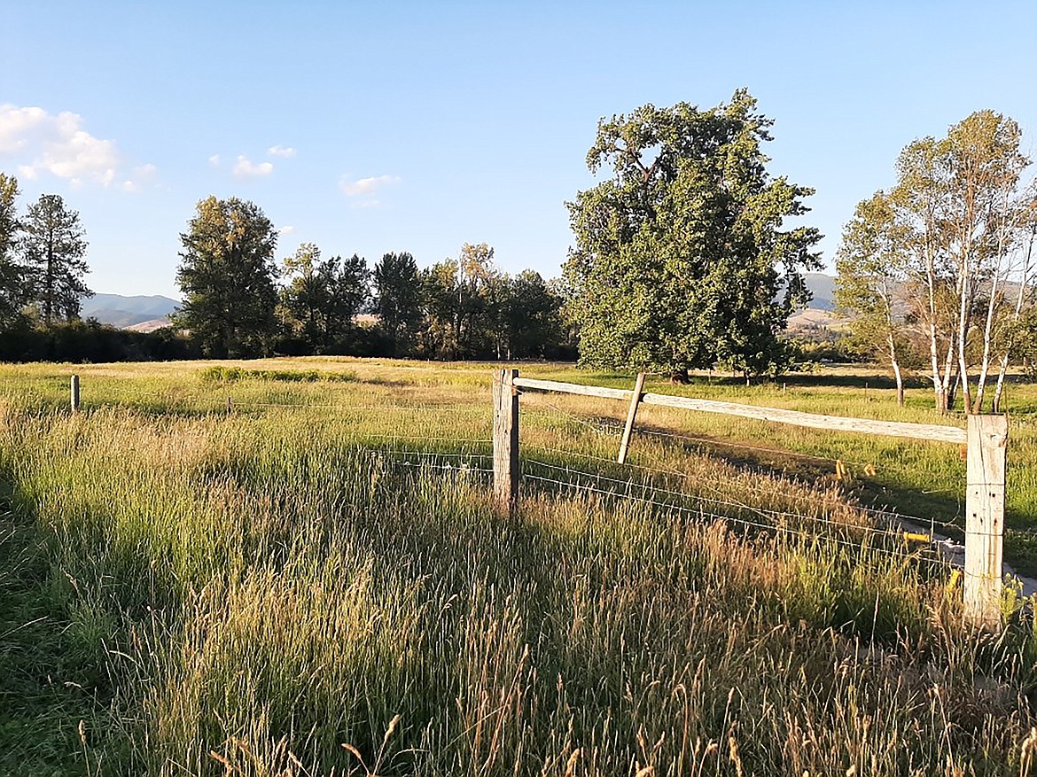 Cold Spring Ranch is among the stops at several of the region's diverse farms that form the basis of a 30-mile bike tour, set to take place on Saturday, Aug. 17.