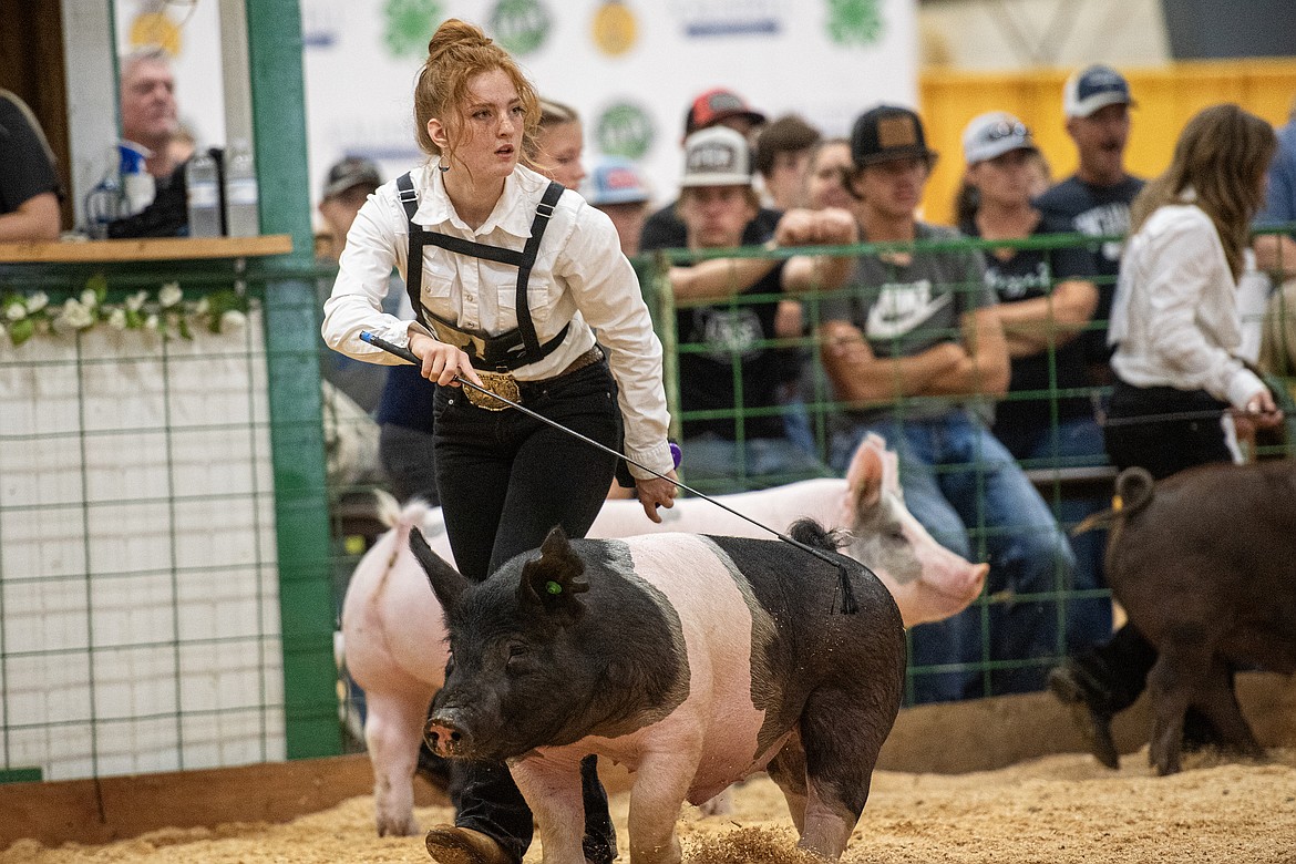 Patience Bain competes in the hog show at the Northwest Montana Fair Monday, Aug. 12. (Avery Howe/Bigfork Eagle)