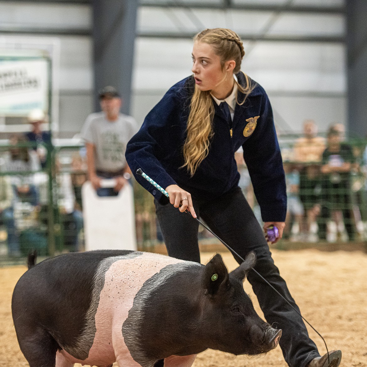 Teagan Flint competes in the hog show at the Northwest Montana Fair Monday, Aug. 12. (Avery Howe/Bigfork Eagle)