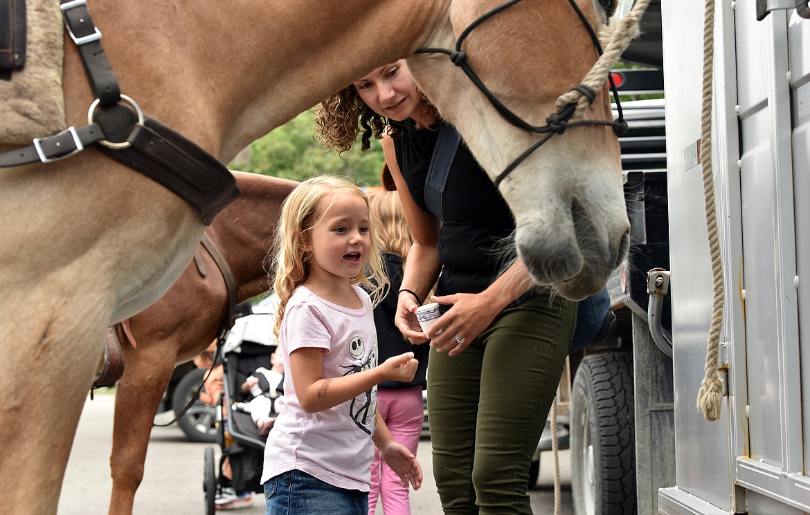 A youngster enjoyed meeting Judy, the mule. (Julie Engler/Whitefish Pilot)