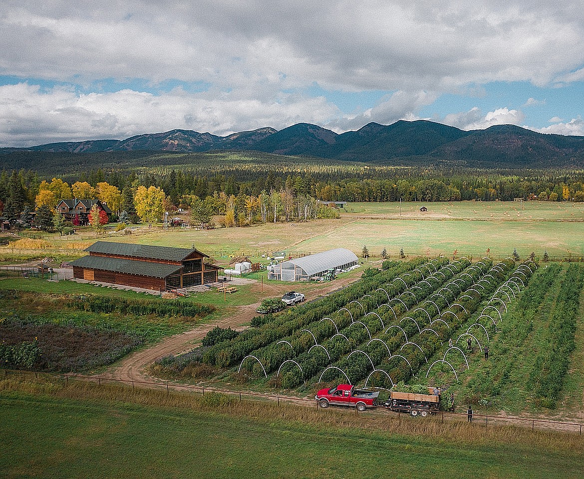 An overhead view of Haskill Creek Farms off Voerman Road in Whitefish. (Photo provided)