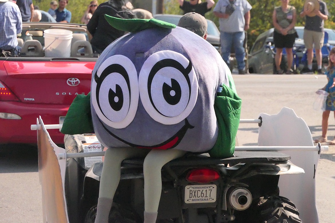 The Huckleberry Festival mascot, "Huck L. Berry" rides on the back of a mini-float during this year's Huckleberry Festival parade in Trout Creek.  (Chuck Bandel/VP-MI)