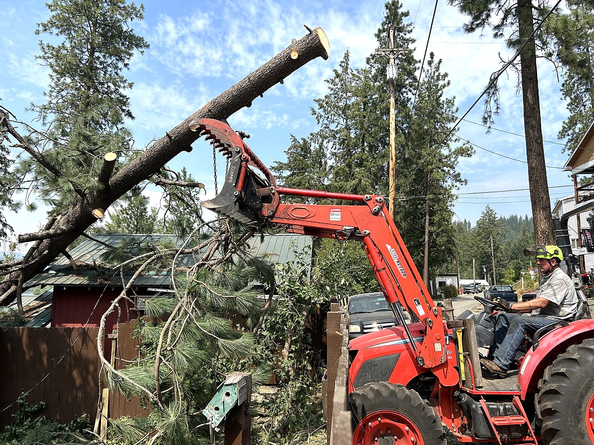 Nolan Gaul of Nolan's Family Tree Service clears parts of a tree from a Hauser Lake home on Monday.