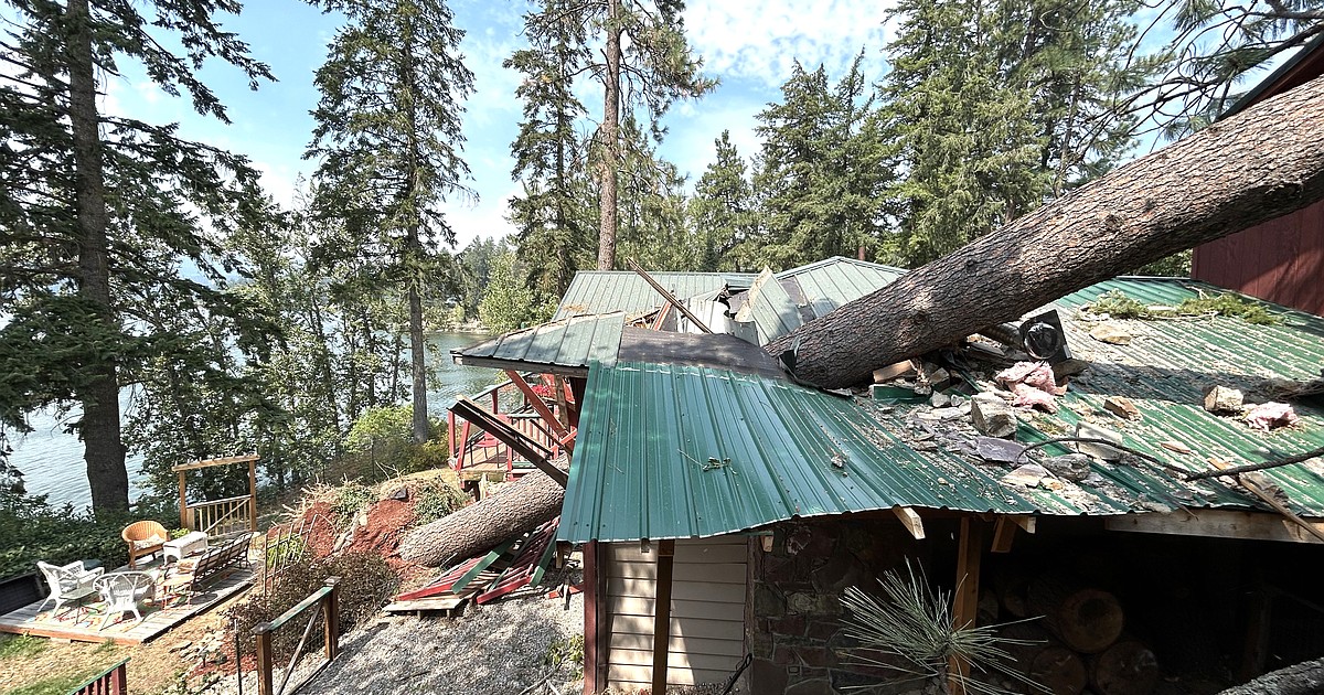 Falling tree hits house at Hauser Lake