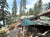 Falling tree hits Hauser Lake home