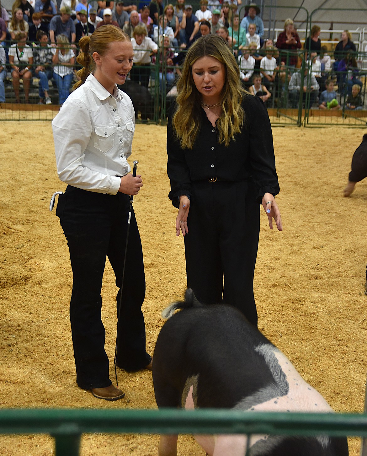 Hog showmanship judge Sierra Meyers gives feedback to a competitor in the senior division at the hog showmanship event Monday, Aug. 12 at the Northwest Montana Fair. (Hilary Matheson/Daily Inter Lake)