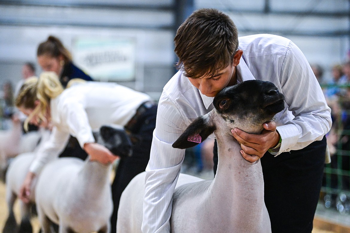 William Morrison and other competitors work to position their sheep during senior sheep showmanship at the Northwest Montana Fair on Tuesday, Aug. 13.  (Casey Kreider/Daily Inter Lake)