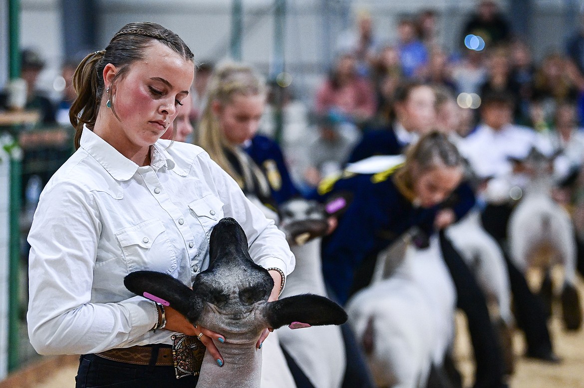 Mary Owens and other competitors work to position their sheep during senior sheep showmanship at the Northwest Montana Fair on Tuesday, Aug. 13.  (Casey Kreider/Daily Inter Lake)