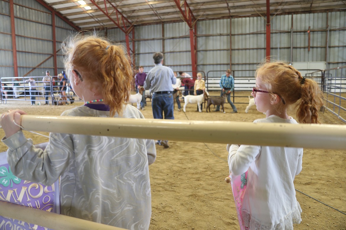 Keely and Jessie Vanhorn wait patiently for the results to be announced so they can run out the champion and reserve champion banners to the winners.