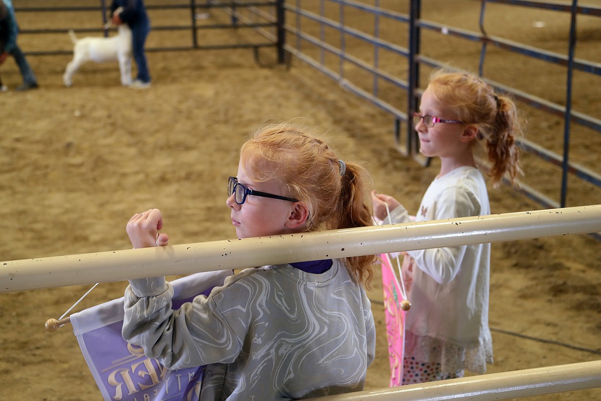 Keely and Jessie Vanhorn wait patiently for the results to be announced so they can run out the champion and reserve champion banners to the winners.