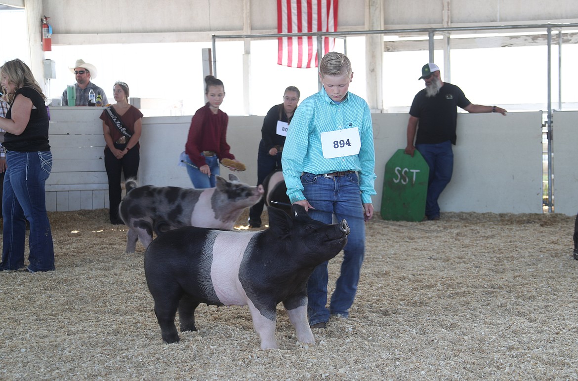 Layton Scheu, 11, of the Gold 'n' Grouse 4-H Club maneuvers his swine around the arena during a medium weight swine class during the opening day of the Bonner County Fair.