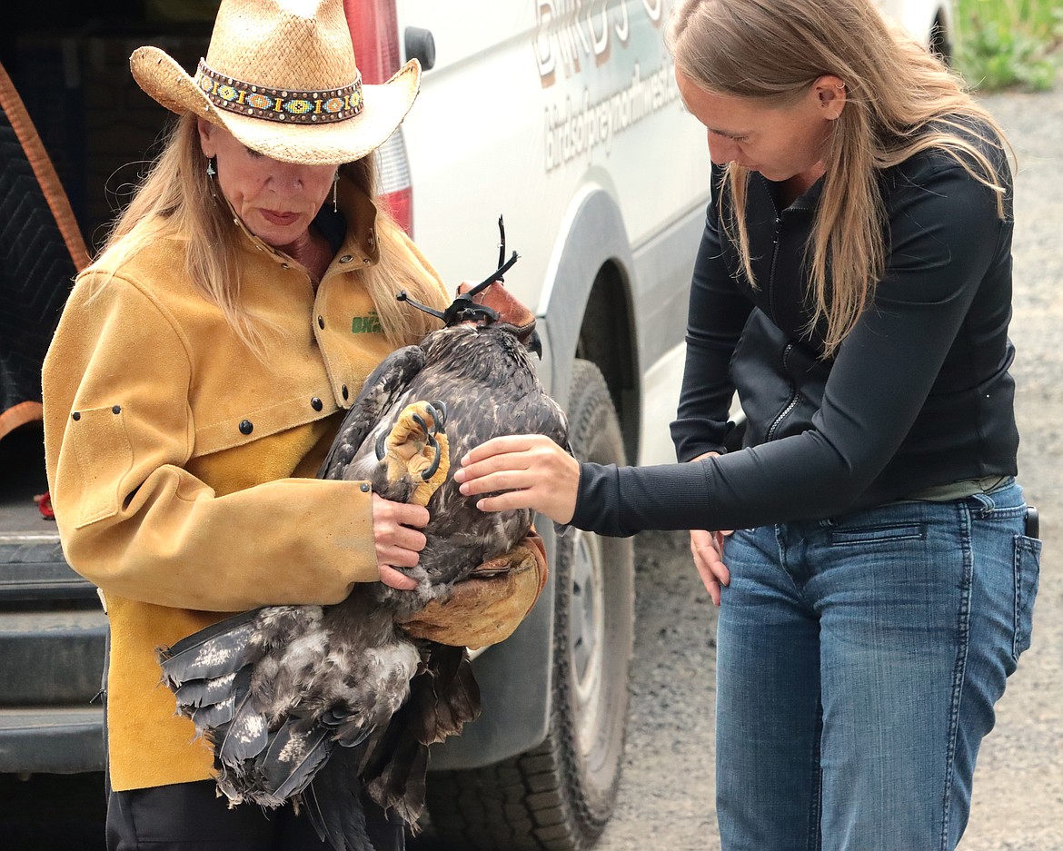 Jane Veltkamp and Sarah Picchione spend a moment with a bald eagle before its release on Tuesday.