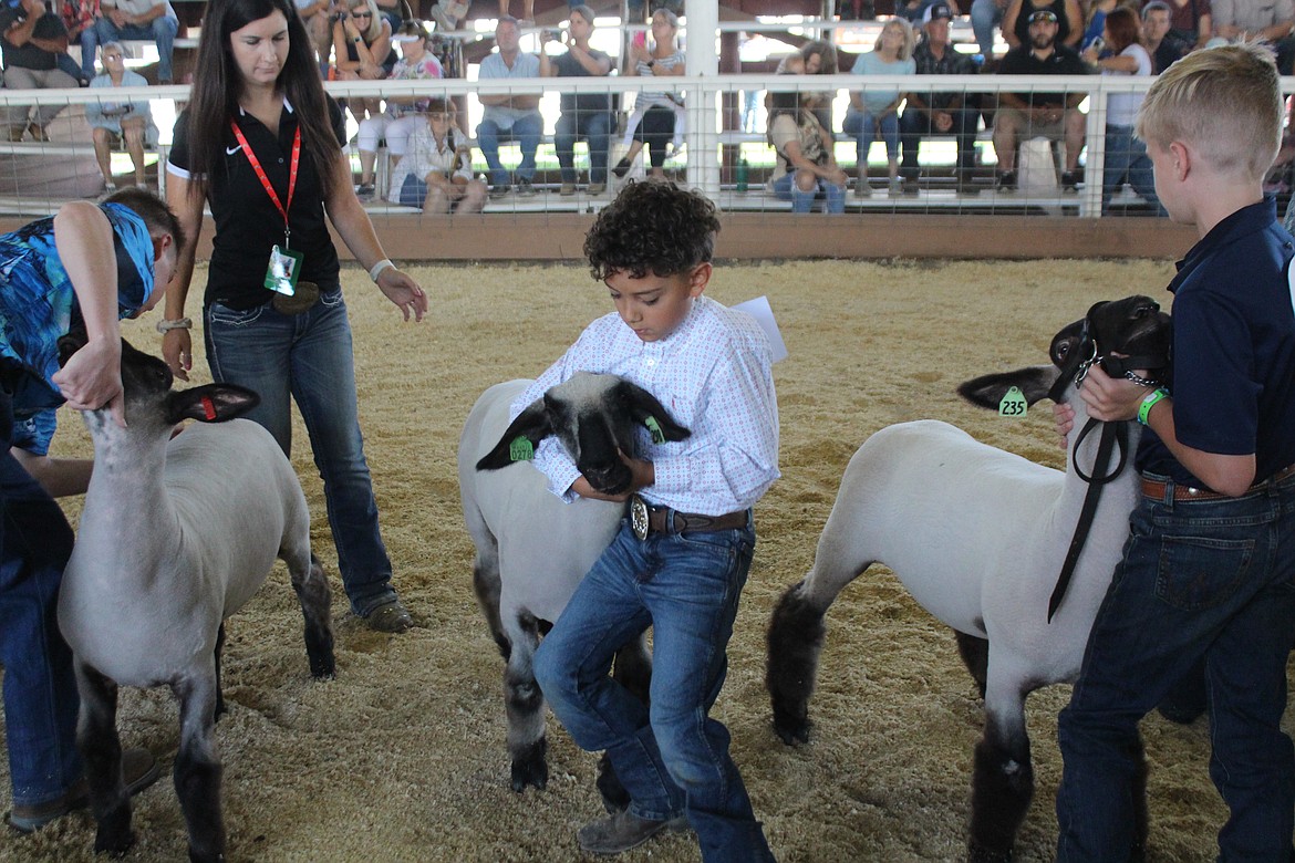 Liam Segura Jones had to fight his lamb to keep it in line in market competition. It got away, but he chased it down.