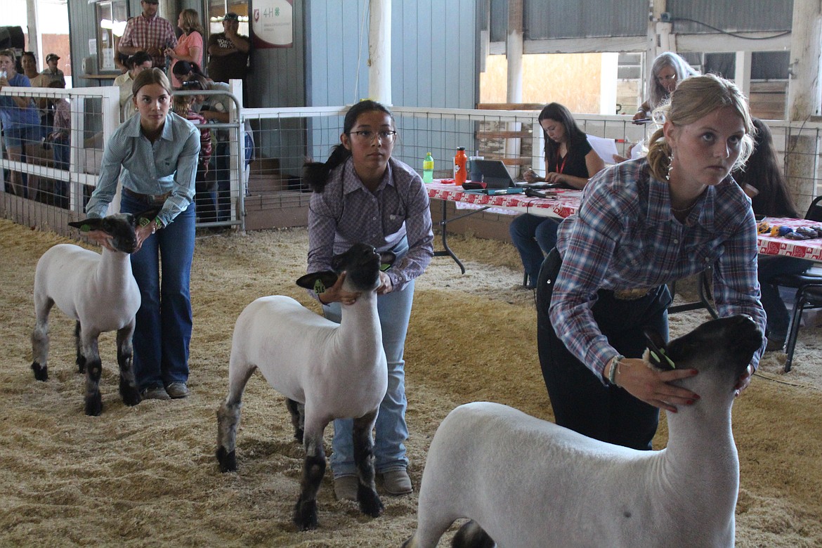 Fair competitors are taught to keep their eyes on the judge at all times.