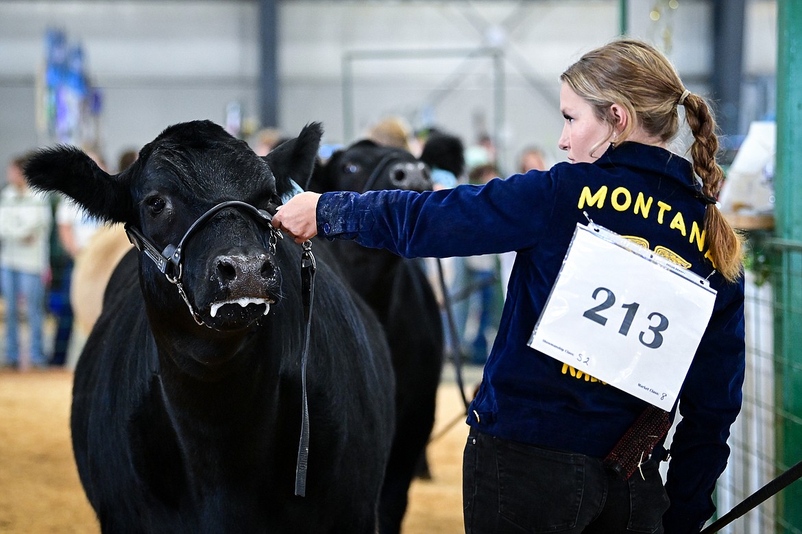 Brady Boll shows her steer during senior beef cattle showmanship at the Northwest Montana Fair on Wednesday, Aug. 14. Boll won grand champion in her division. (Casey Kreider/Daily Inter Lake)