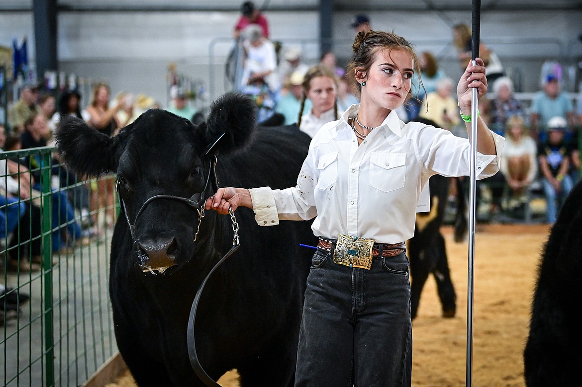 Carly Tranel shows her steer during senior beef cattle showmanship at the Northwest Montana Fair on Wednesday, Aug. 14. (Casey Kreider/Daily Inter Lake)