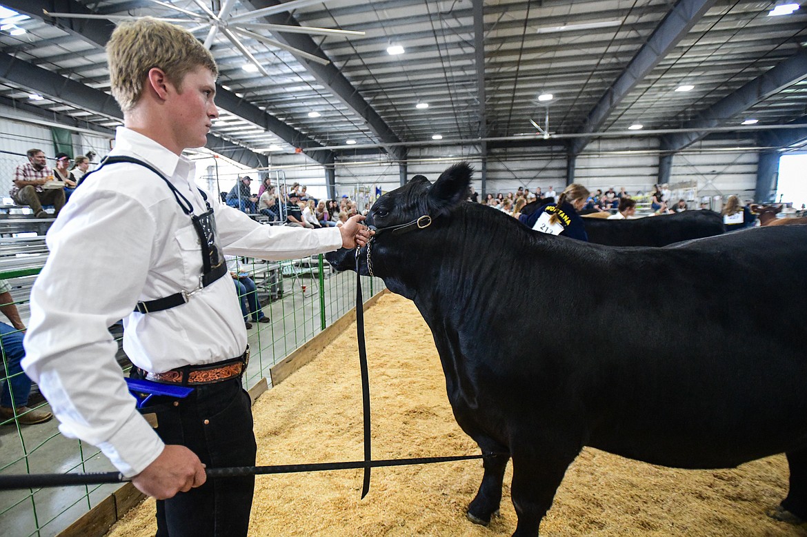 Samuel Plummer shows his steer during senior beef cattle showmanship at the Northwest Montana Fair on Wednesday, Aug. 14. (Casey Kreider/Daily Inter Lake)