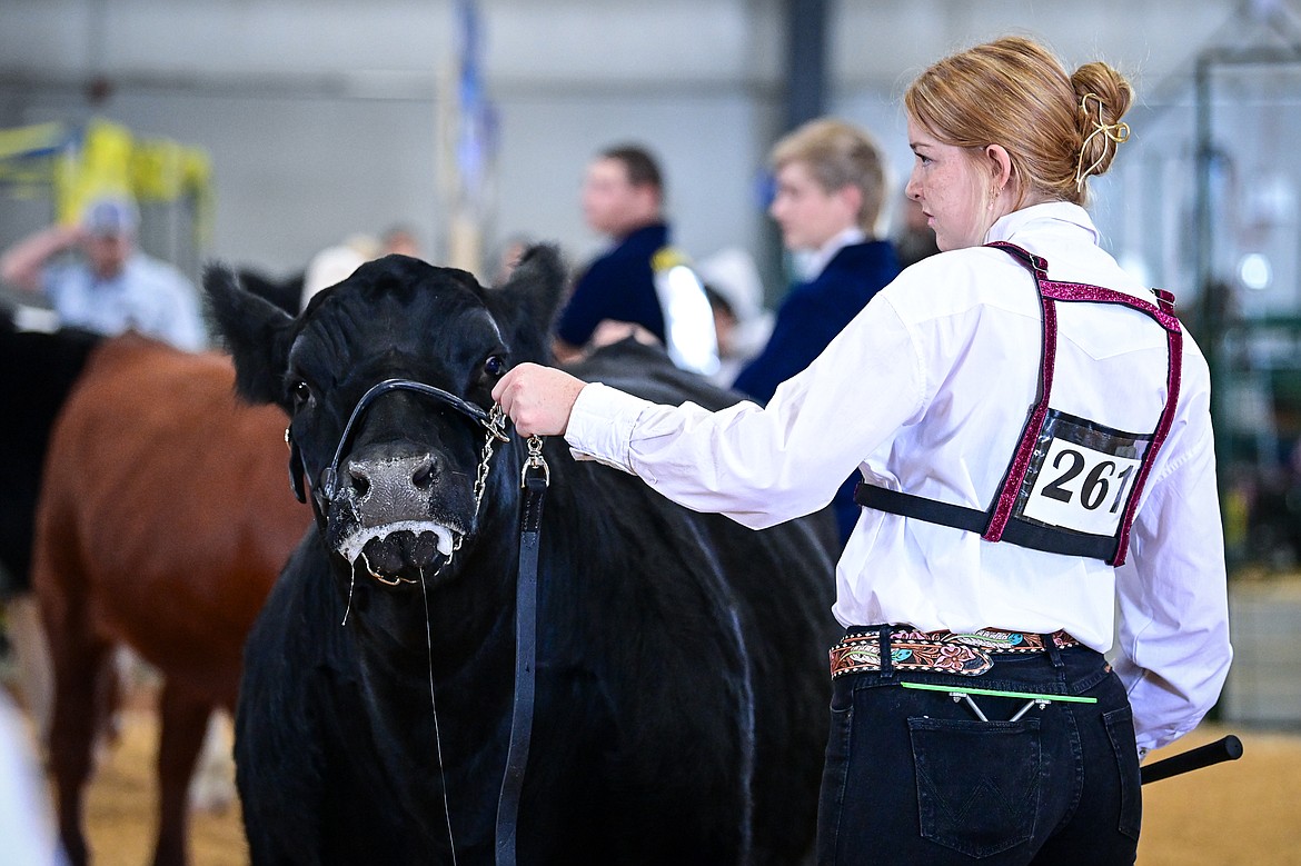 Alexis Johnson shows her steer during senior beef cattle showmanship at the Northwest Montana Fair on Wednesday, Aug. 14. (Casey Kreider/Daily Inter Lake)