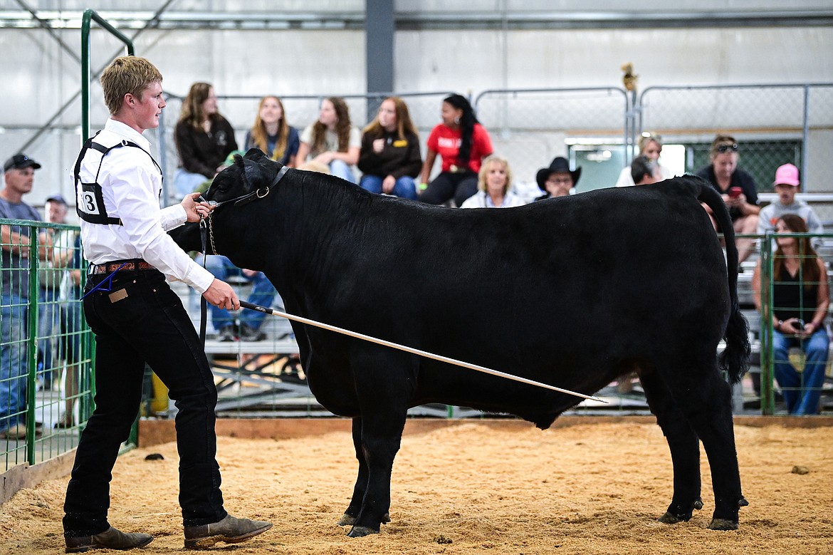 Samuel Plummer shows his steer during senior beef cattle showmanship at the Northwest Montana Fair on Wednesday, Aug. 14. (Casey Kreider/Daily Inter Lake)