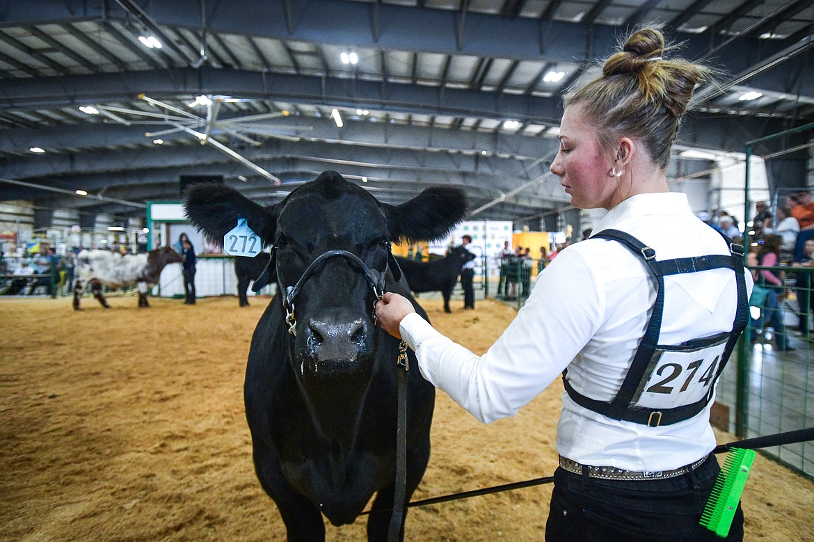 Ione Plummer shows her steer during senior beef cattle showmanship at the Northwest Montana Fair on Wednesday, Aug. 14. (Casey Kreider/Daily Inter Lake)