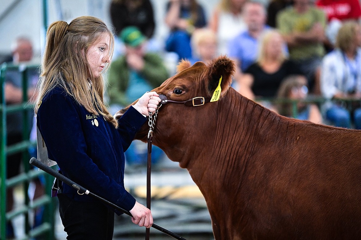 Madison Brist shows her steer during senior beef cattle showmanship at the Northwest Montana Fair on Wednesday, Aug. 14. (Casey Kreider/Daily Inter Lake)