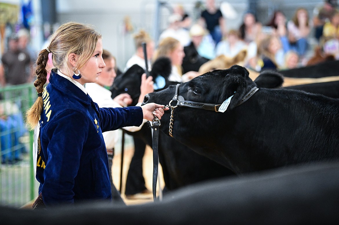 Brady Boll shows her steer during senior beef cattle showmanship at the Northwest Montana Fair on Wednesday, Aug. 14. Boll won grand champion in her division. (Casey Kreider/Daily Inter Lake)