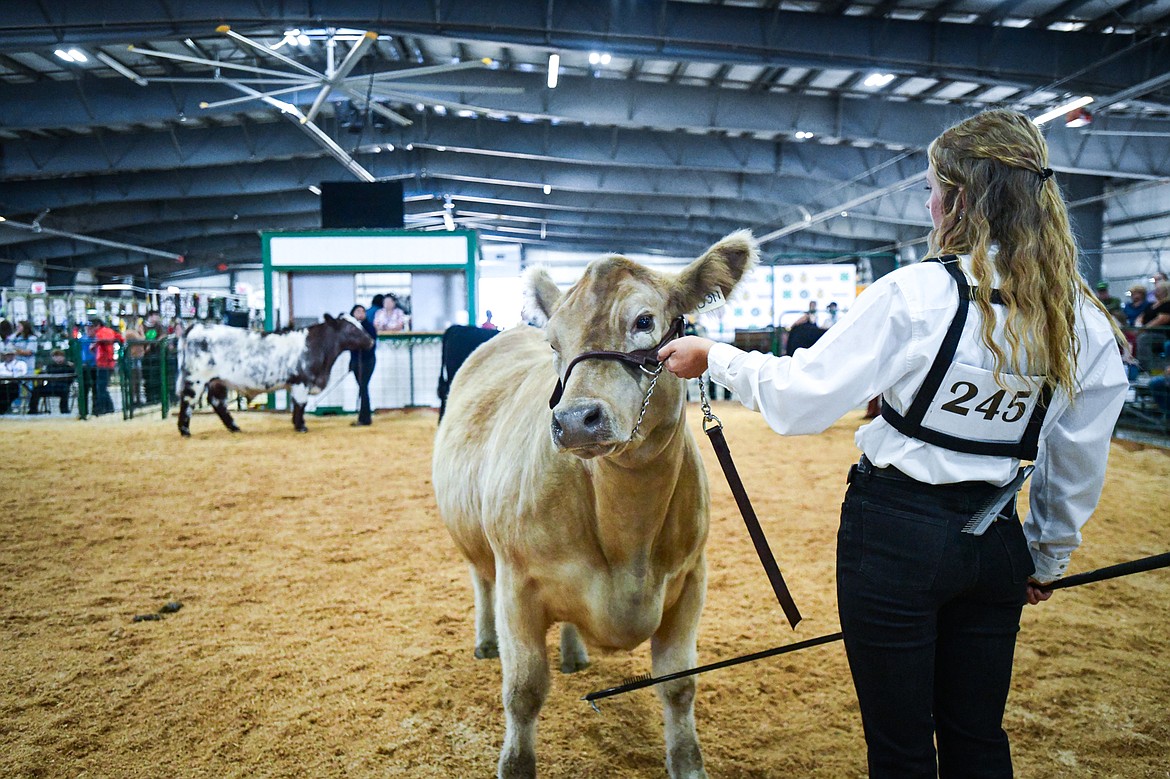 Grace Holtmeyer shows her steer during senior beef cattle showmanship at the Northwest Montana Fair on Wednesday, Aug. 14. (Casey Kreider/Daily Inter Lake)