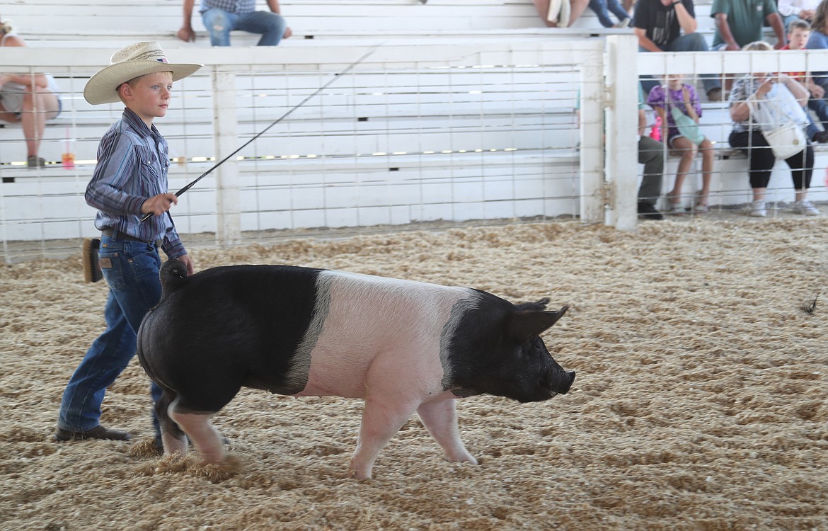 A young 4-Her maneuvers his swine around the ring at the Bonner County Fair on Wednesday.