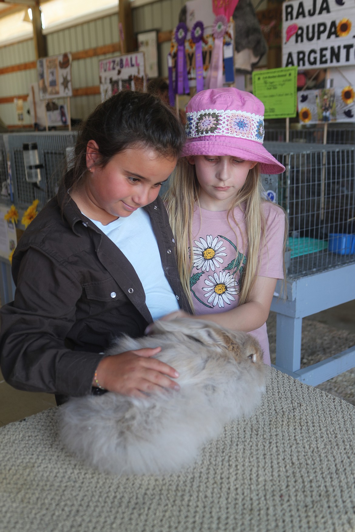 Brinkley Schaures and Josephine Weiss pet "Milli," an English Angora rabbit that Schaures entered in the Bonner County Fair.