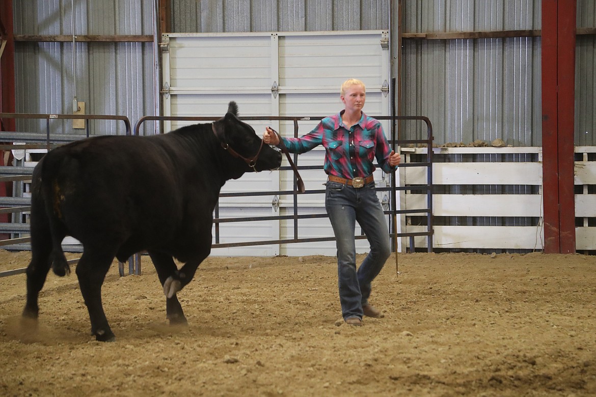 Mariah Barnhart leads her steer around the ring at the Bonner County Fair on Wednesday.