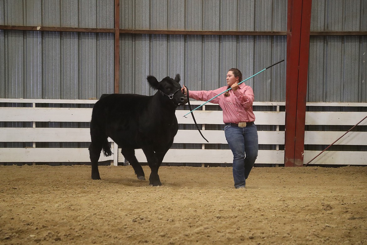 Larisaa Lippert leads her steer around the ring at the Bonner County Fair on Wednesday.