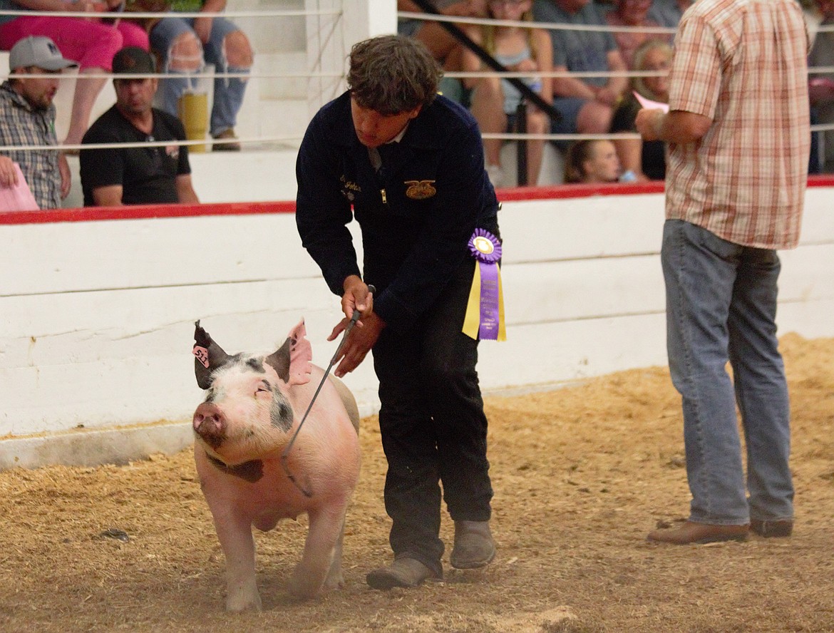 Gaige Johnson takes his Grand Champion swine for a turn at the Animal Sale at the Boundary County Fair.