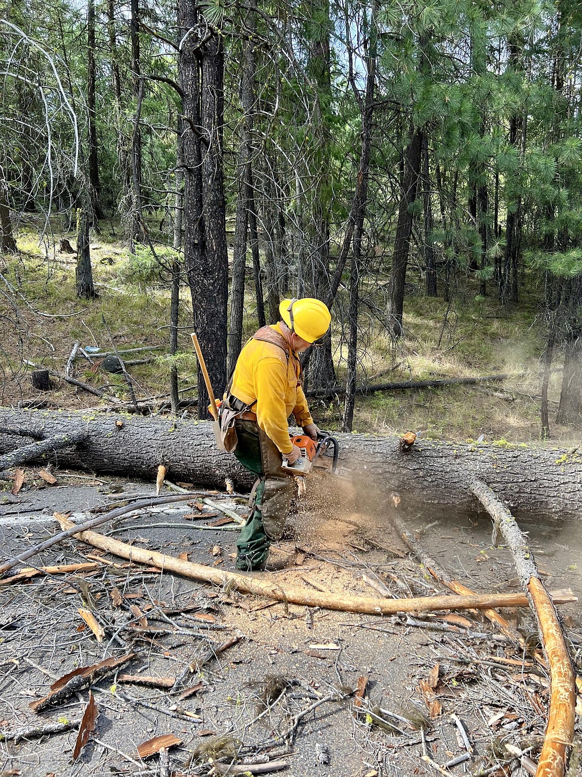 A firefighter uses a chainsaw to cut up a fallen hazard tree on Highway 12 near the Retreat Fire. The fire, which is increasing in containment daily, has burned 45,600 acres and is the largest active fire in Washington.