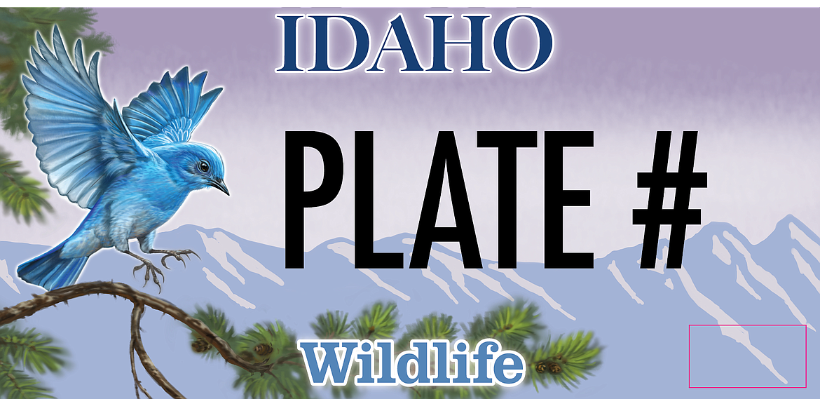 The new Idaho wildlife license plates are in | Bonner County Daily Bee