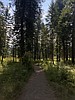 Over the Hill: Exploring English Point, an evergreen oasis