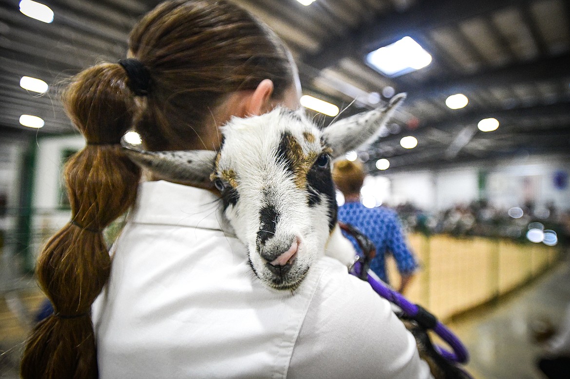 A competitor holds her goat in her arms during goat showmanship at the Northwest Montana Fair on Thursday, Aug. 15. (Casey Kreider/Daily Inter Lake)